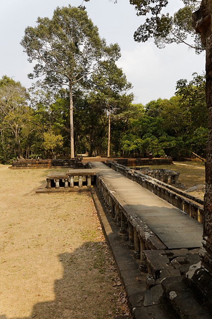 Ta Chau say Thevoda-004